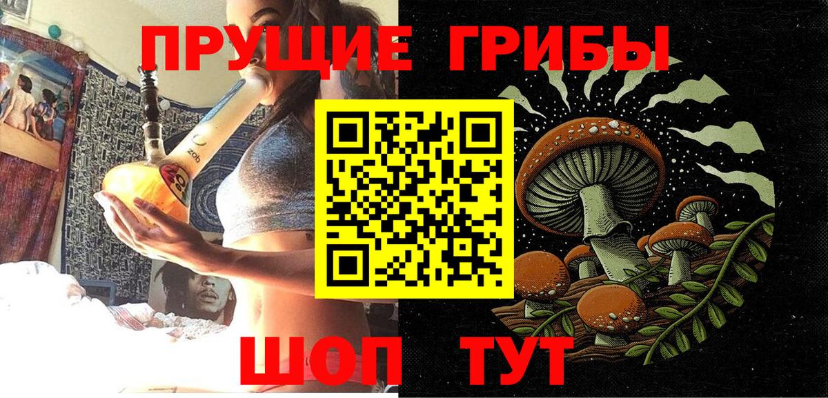 что такое наркотик  Вход с VPN  Галлюциногенные грибы прущие грибы  Верхний Уфалей  Псилоцибиновые грибы Psilocybine cubensis 