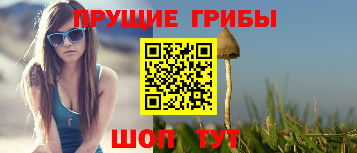 Псилоцибиновые грибы MAGIC MUSHROOMS Верхний Уфалей